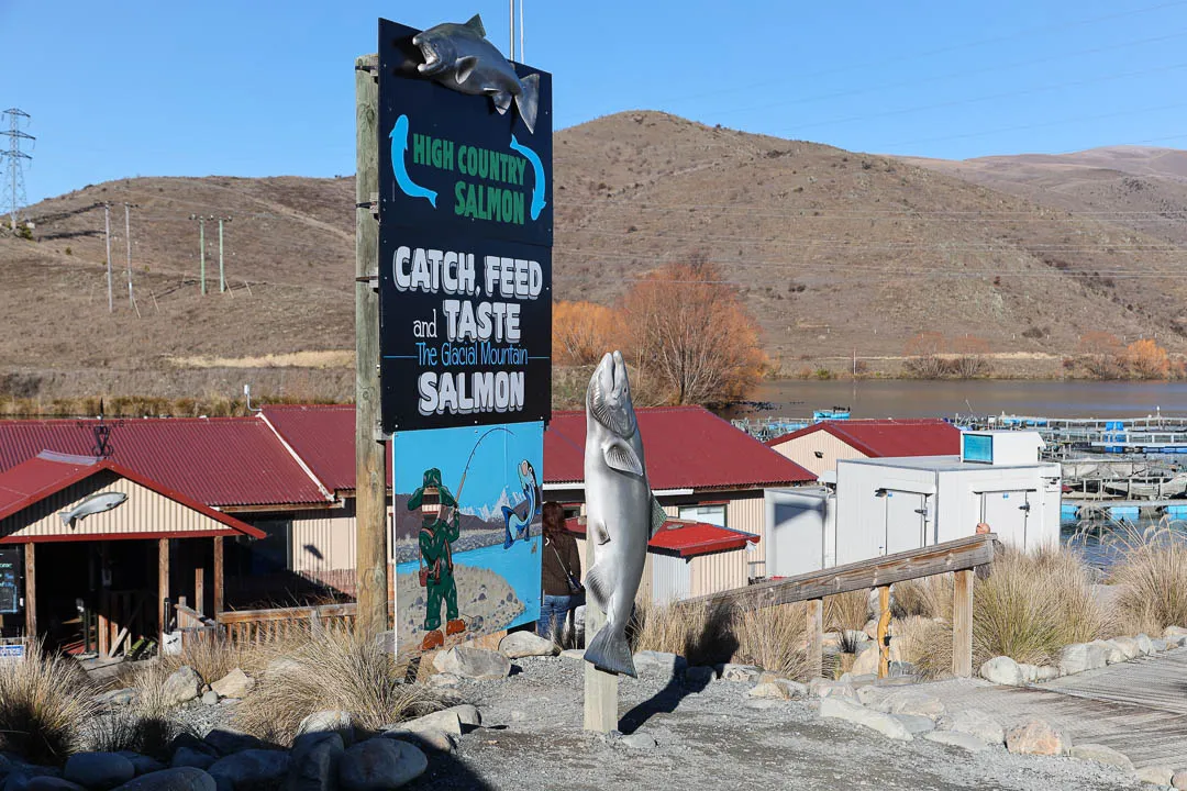High Country Salmon Farm