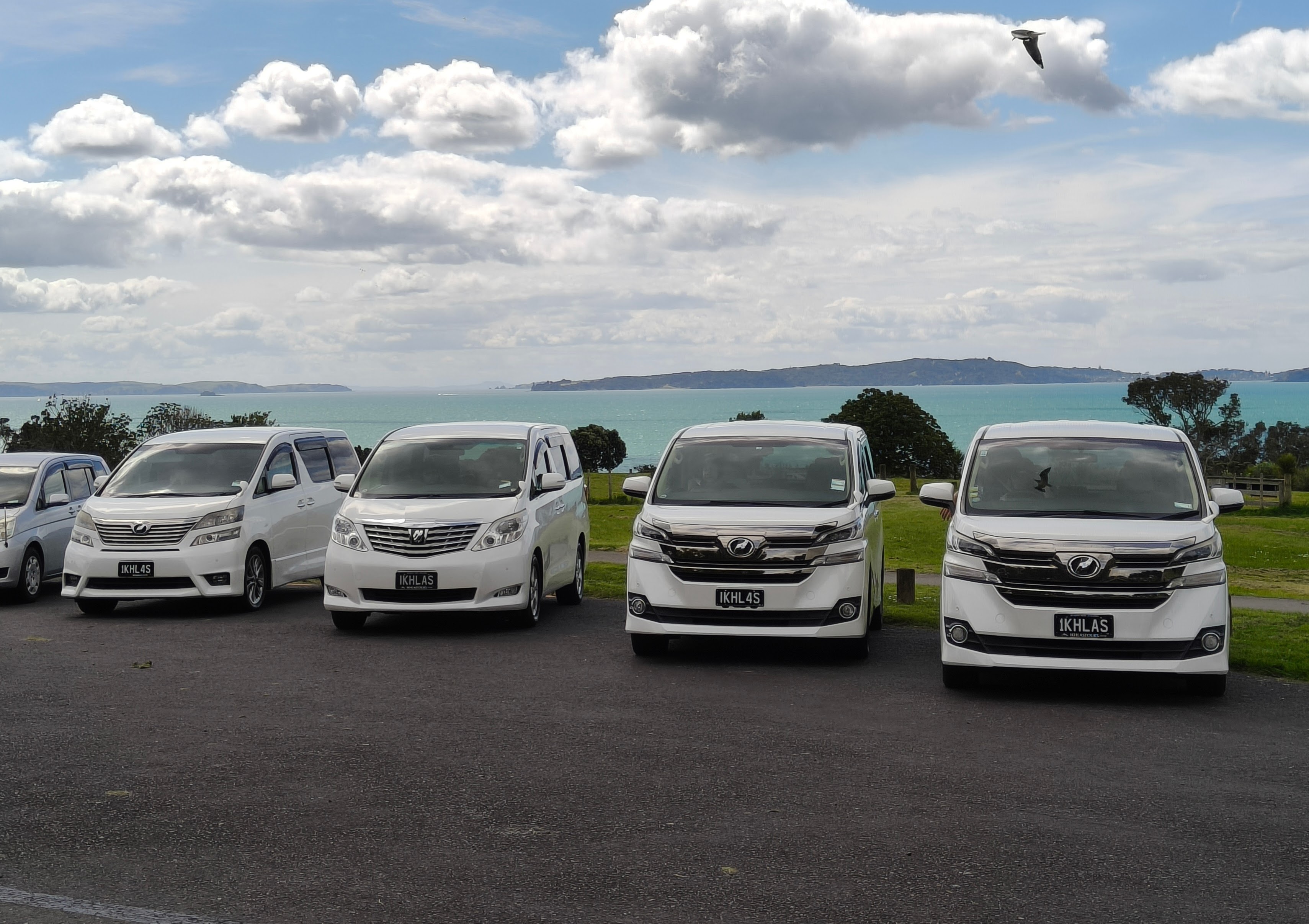 Rental Cars
